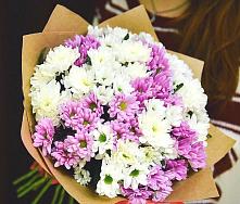 Букет цветов из:  Хризантемы #REPLACE_PRED# Курской