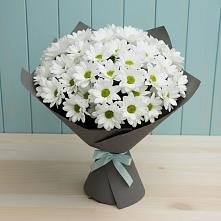Букет цветов из:  Хризантемы #REPLACE_PRED# Курской