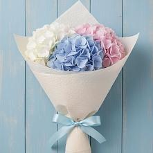 Букет цветов из:  Гортензия в Курской