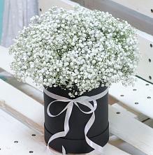 Цветочная композиция из Гипсофила в шляпной коробке в Курской