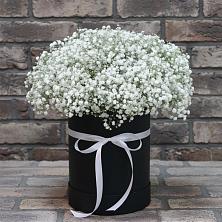 Цветочная композиция из Гипсофила в шляпной коробке в Курской