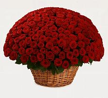 Премиум букет из: Розы #REPLACE_PRED# Курской