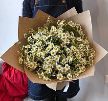 Букет цветов из:  Ромашки #REPLACE_PRED# Курской