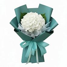 Букет цветов из:  Гортензия #REPLACE_PRED# Курской